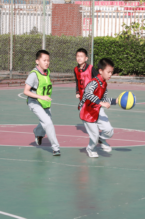 AYX SPORTS-穆古鲁扎迎来十赛季出色发挥，中国队观众热烈欢呼！的简单介绍